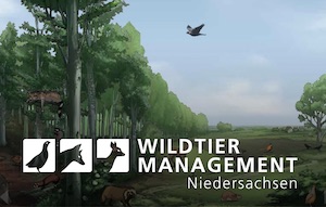 Link zur Informationsseite der Wiltiererfassung Niedersachsen